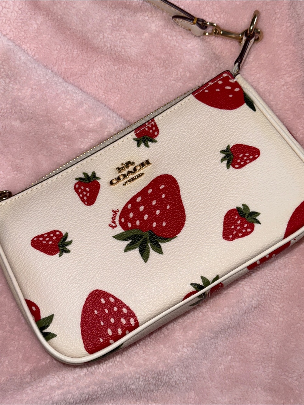 Coach Strawberry Purse